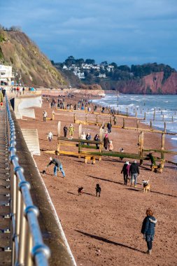 Teignmouth, Devon, İngiltere. 09-15-24. Kıyı aşınması ve iklim değişikliği görüntüsü. Kıyı kayması ve kıyı aşınmasını önlemek için kullanılan ahşap plaj oyukları..