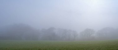 Orman örtüsünün mevsimlik panoramik görüntüsü sistir. Kış, Sonbahar ya da Sonbahar hava durumu. Nemli, sisli iklim. 