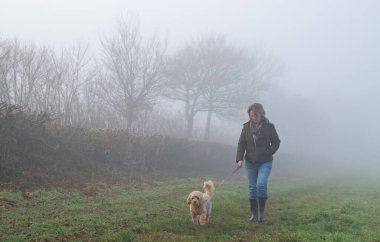 Köpek gezdirme. Bir bayan sisli bir kış sabahı köpeğini kırsal bir arazide gezdirir. Sabahın erken saatlerinde sisle kaplıdır. Cavapoo köpeği. Kış, sonbahar ve sonbahar boyunca sisli bir gün.. 