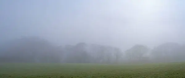 Orman örtüsünün mevsimlik panoramik görüntüsü sistir. Kış, Sonbahar ya da Sonbahar hava durumu. Nemli, sisli iklim. 