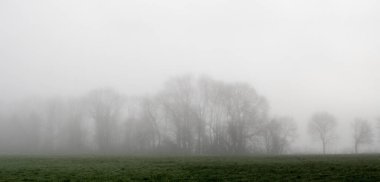 Orman örtüsünün mevsimlik panoramik görüntüsü sistir. Kış, Sonbahar ya da Sonbahar hava durumu. Nemli, sisli iklim. 
