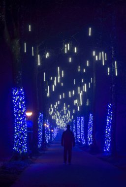 Warminster, Wiltshire, uk. 01-22-25. Centre parcs enchanted light trail with blue and white lights bathing the scene in a colourful glow. Family fun and short break, holiday image.  clipart