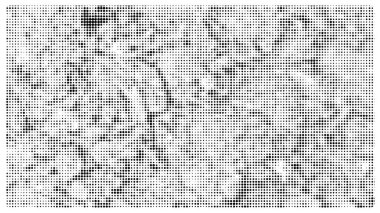 Yaratıcı doku yarım ton vektör şablonu.