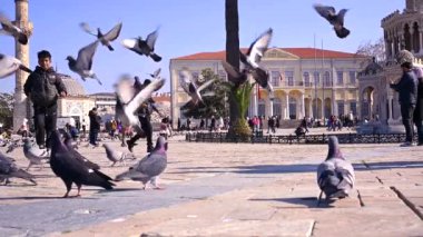 turkey - izmir, february 10 2023 people and flying seagulls in the city square