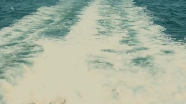 Πλοίο Που Ακολουθεί Γλάρους Που Πετούν Πάνω Από Αστραφτερό Μονοπάτι — Αρχείο Βίντεο