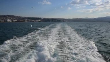 Bir yolcu gemisinin kıç tarafındaki ışıltılı yol üzerinde uçan martıları takip eden gemi.. 