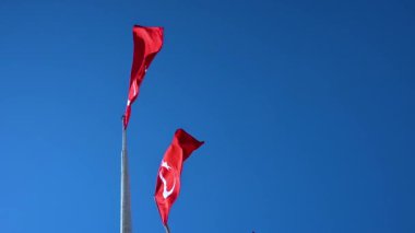 Türk bayrakları sallayarak mavi gökyüzünde
