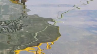 Denizdeki teknenin yansıması. Yavaş çekim sinematik video