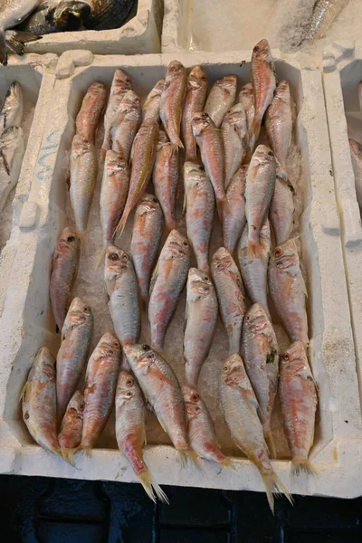 Fresh Fish Ice Box Fish Market — Stock Photo, Image