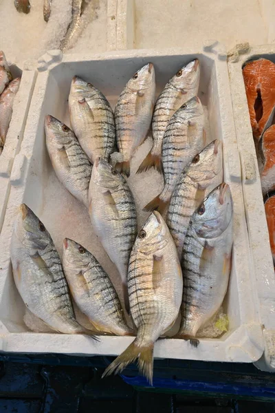 Fresh Fish Ice Box Fish Market — Stock Photo, Image