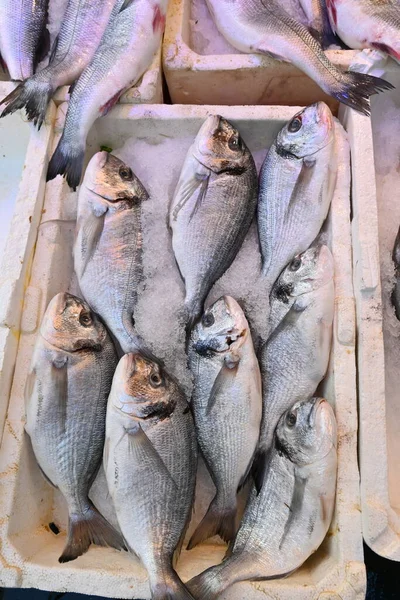 Świeże Ryby Lodówce Targu Rybnym — Zdjęcie stockowe