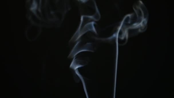 Natural Smoke Curling Van Wierookstokjes Zwarte Achtergrond — Stockvideo