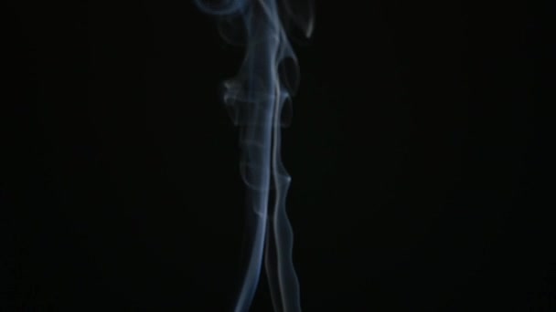 Natural Smoke Curling Incense Sticks Black Background — Stock Video