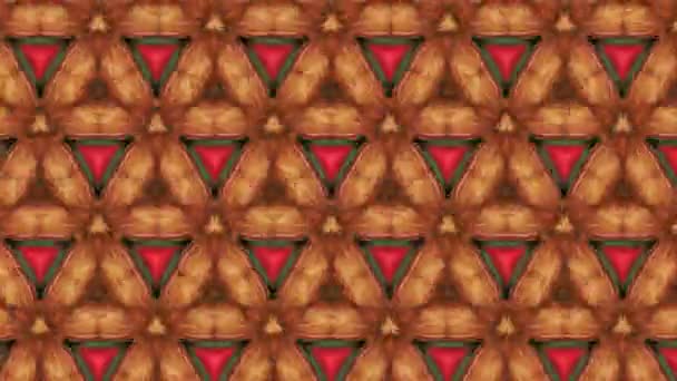 Abstraktes Bewegungskaleidoskop Mit Geometrischen Mustern Kaleidoskopisches Bewegungsdesign — Stockvideo