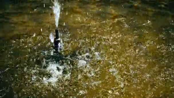 Water Spatten Uit Fontein Het Zwembad Langzame Beweging — Stockvideo
