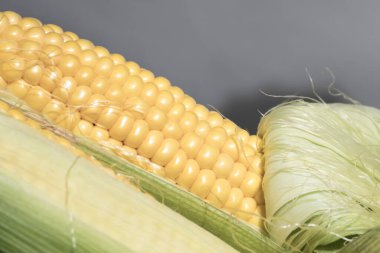 Corn that has not been completely hulled. It has large grains. clipart