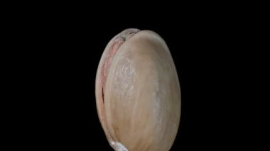 Kendi etrafında dönen tek Pistachio.