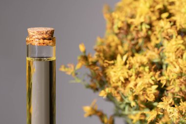 Hypericum - St. John 's wort bitkileri, ya ya ya infzyon iesi.