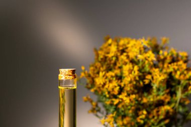 Hypericum - St. John 's wort bitkileri, ya ya ya infzyon iesi.