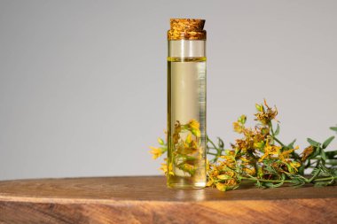 Hypericum - St. John 's wort bitkileri, ya ya ya infzyon iesi.
