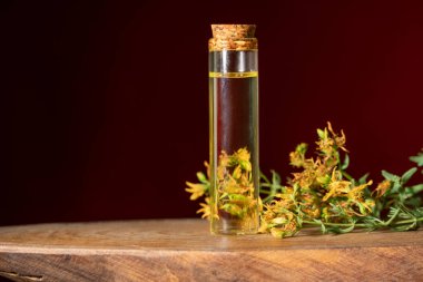 Hypericum - St. John 's wort bitkileri, ya ya ya infzyon iesi.