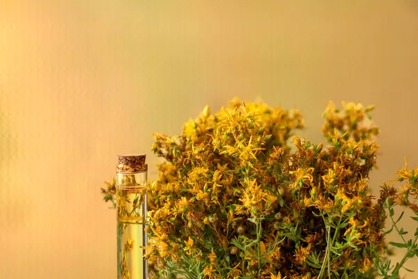 Hypericum - St. John 's wort bitkileri, ya ya ya infzyon iesi.