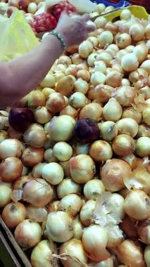 Pazar Pazarında Kurutulmuş Soğan Seçen Kadın