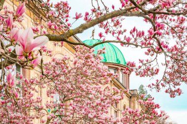 Manolya, eski binanın önünde. Bronz kubbeli bir bina.