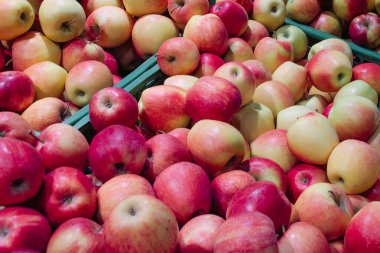 Bir sürü kırmızı elma yeşil kasalarda, yakın plan çekimde..