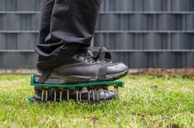 Close-up of lawn aeration shoe with metal spikes. Pprocess of soil scarification. Feet of man wearing black shoes. Green grass around, anthracite fence in background. clipart
