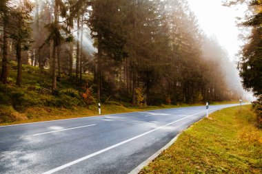 Düz bir asfalt yol sisli bir ormanın içinden geçer. Güneş ışığı uzun ağaçların arasından süzülüp siste güneş ışınları oluşturur. Sonbahar renkleri ağaçları ve zemini noktalar, dingin ve manzaralı bir dürtü yaratır..