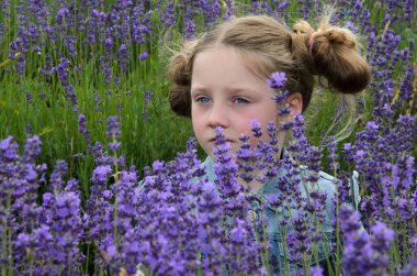 Altı yaşında bir çocuk. Mavi gözlü, sarı saçlı, mavi ceketli bir kızın portresi. Yüzünde düşünceli bir ifade ve hafif bir üzüntü var. Çiçekli lavantasının etrafında.