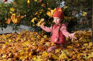 Altı yaşında ve iki sarı örgülü saçı var. O, başına bir şapka takıyor. Çocuk dökülen yaprakların üzerinde oturuyor..