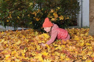 Bir çocuk düşmüş sarı akçaağaç yapraklarıyla oynuyor. Kız altı yaşında ve iki sarı örgülü saçı var. Onun kafasında bir kep var. Bir çocuk dökülen yapraklara oturur..