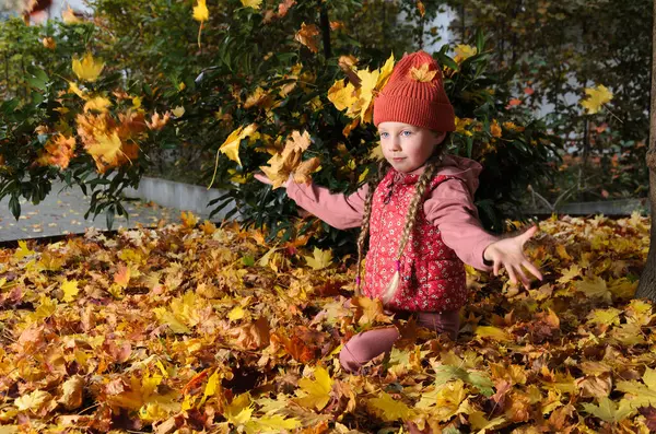 Altı yaşında ve iki sarı örgülü saçı var. O, başına bir şapka takıyor. Çocuk dökülen yaprakların üzerinde oturuyor..