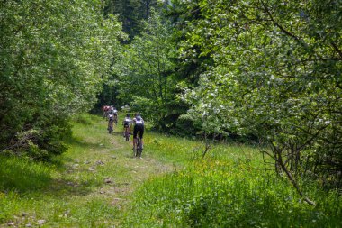 cyclists ride a cycle tour in nature on the grass among the trees