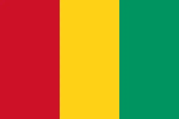 Gine bayrağı, vektör tasarımı