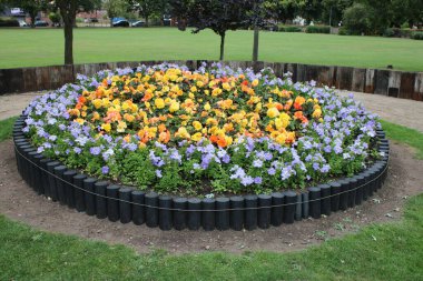 Büyük yuvarlak çiçek tarhı İngiliz parkında çekildi.