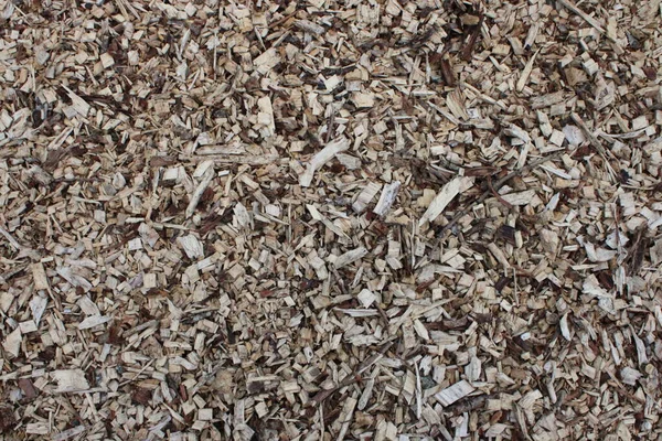 Background picture of fresh wood chips