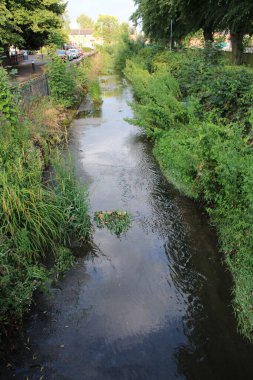 Bir yaz öğleden sonrasında gökyüzünün kenarlarında yeşil yapraklar olan bir derenin yüksek açılı resmi.