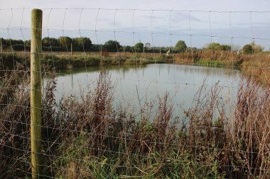 Arka planda büyük göleti olan tel örgülü tel örgü.