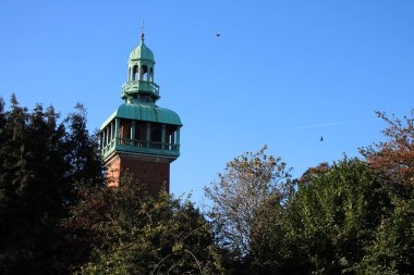Loughborough, Leicestershire, İngiltere, 15 Ekim 2023, Queens Park, Carillion Kulesi 'nin tepesindeki ağaç tepelerinin resmi.
