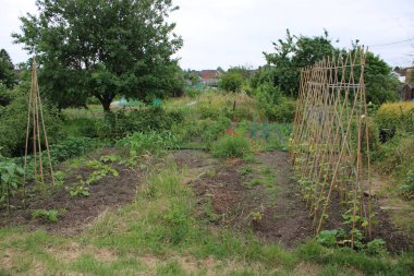 Bulutlu bir günde İngiltere tahsis grafiği alındı