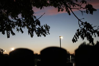 Alacakaranlıkta ağaç dalları, arka planda gökyüzü, görülebilir kırmızı gökyüzü