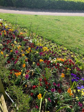 Arka planda çimen ve dikey resimle korunmuş çiçek yatağı