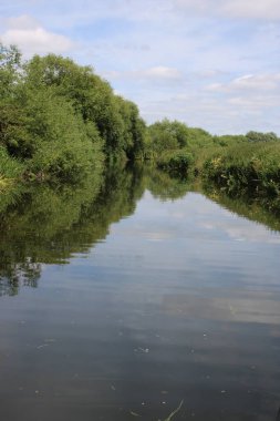 Her iki tarafında çalılar ve yapraklar olan sakin kanal nehri, botların bakış açısından alındı.