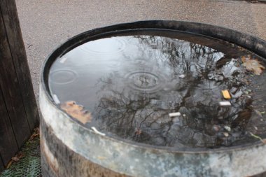 Tahta fıçının tepesinde, su dolu, arka planda ağacın yansıması.