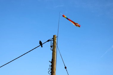 Gökkuşağı Rüzgarlığı ile Açık Mavi Gökyüzüne Karşı Kutup
