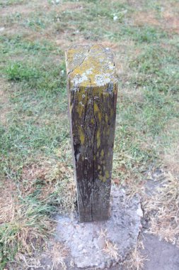 Grassy Yard 'da Gündüz Tahta Posta Seti