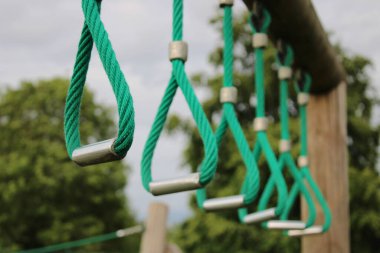 Güneşli bir günde yemyeşil ağaçlarla çevrili bir parkta canlı yeşil salıncaklar.